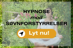 Søvnforstyrrelser
